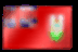 Flag picture