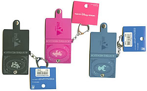 25th Anniversary penny collection book key ring