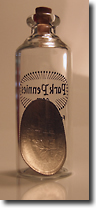 Pressed Dime in a bottle reverse