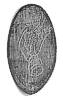 dl0268r.jpg - 1984 Bytes