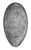 dl0269r.jpg - 1999 Bytes