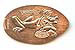 Disneyland elongated coins