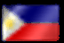 Flag picture