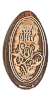 Tokyo Disneyland pressed penny picture.