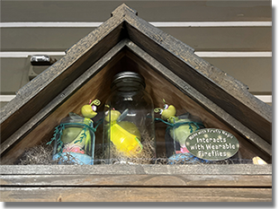 Top of 70th Anniversary medallion machine: Bayou Country Button 1: #256 70th Logo Haunted Mansion New Orleans Square, Button 2: #257 70th Logo Pirates of the Caribbean, Button 3: #258 70th Logo Miguel of Coco, and Button 4: #251 Mickey's Toontown which was installed in this machine by December 10, 2025. Onstage by December 25, 2025.