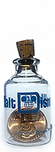 Walt Disney World Blue WDW Logo penny in a bottle.