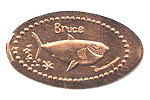 DL0478 Retired Bruce pressed penny or elongated coin image.