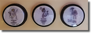 Disneyland friends pressed coin set DL0687-DL0689  Coco, Ratatouille, and Toy Story buttons 8-3-2018